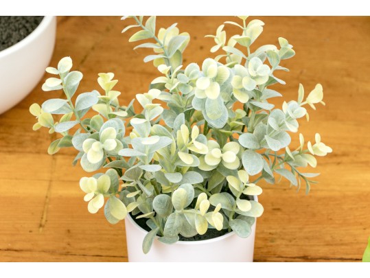 Five Piece Faux Plant And Planters Lot