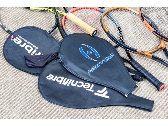 Assembled Collection Of Racket Sports Paddles