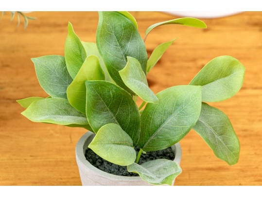 Five Piece Faux Plant And Planters Lot