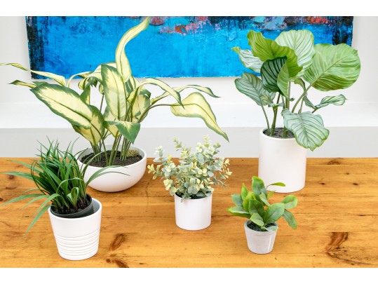 Five Piece Faux Plant And Planters Lot