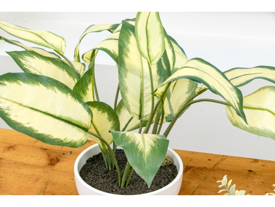 Five Piece Faux Plant And Planters Lot