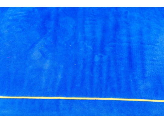 Carlyle Upholstered Sleeper Sofa