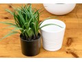 Five Piece Faux Plant And Planters Lot