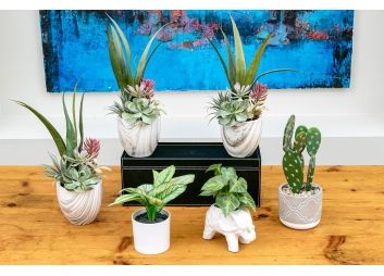 Black Rock Galleries