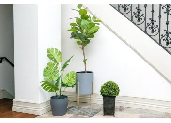 Black Rock Galleries