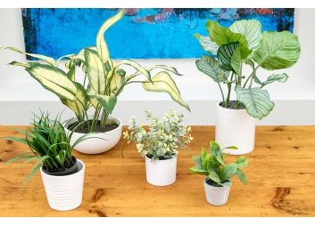 Black Rock Galleries