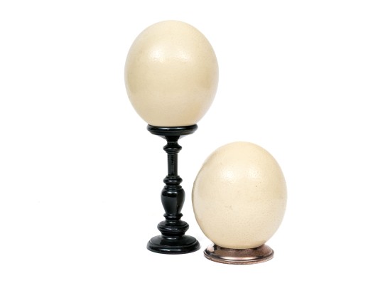 Pair Of Ostrich Eggs For Display