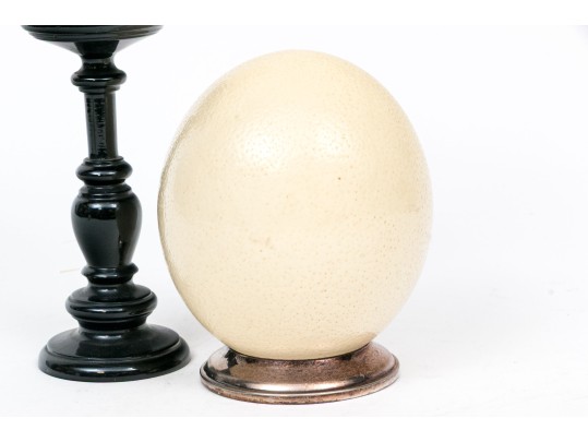 Pair Of Ostrich Eggs For Display