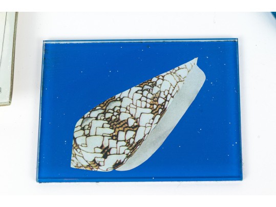 Decorative Eclectic Collection Of Table Top Wares