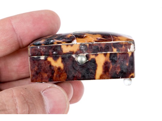 Collection Of Three Tortoise Snuff Boxes
