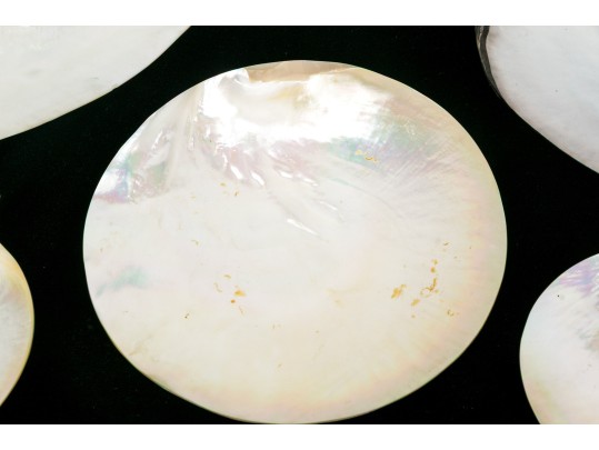 Collection Of Five Abalone Shell Caviar Dishes