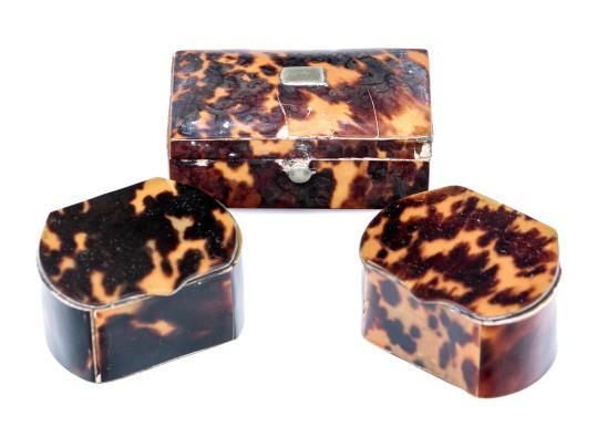 Collection Of Three Tortoise Snuff Boxes