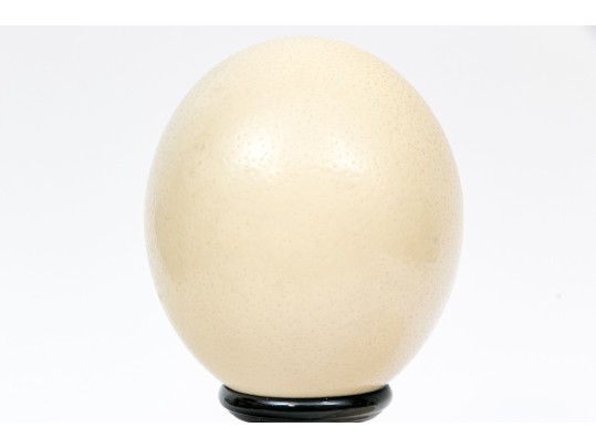 Pair Of Ostrich Eggs For Display