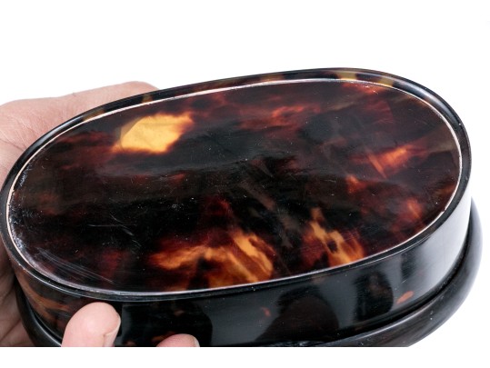 Collection Of Six Tortoise Boxes
