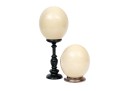 Pair Of Ostrich Eggs For Display