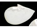 Collection Of Five Abalone Shell Caviar Dishes