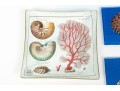 Decorative Eclectic Collection Of Table Top Wares