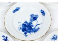 Associated Group Of Royal Copengagen Plates