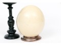 Pair Of Ostrich Eggs For Display