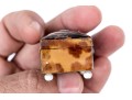Collection Of Three Tortoise Snuff Boxes