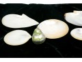 Collection Of Five Abalone Shell Caviar Dishes