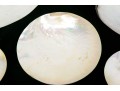 Collection Of Five Abalone Shell Caviar Dishes