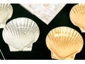 Fabulous Collection Of Nautical Caviar And Cocktail Serving Wares