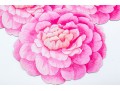 Set Of 7 Vintage Caspari Camellia Chatsworth Place Mats