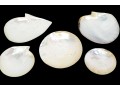Collection Of Five Abalone Shell Caviar Dishes