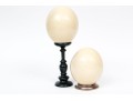 Pair Of Ostrich Eggs For Display