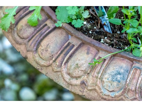 Antique Cast Iron Garden Planter