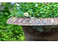 Antique Cast Iron Garden Planter