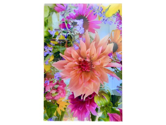 Multi Floral Petals Photograph On Acrylic Wall Art