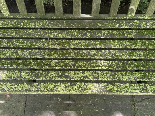 Gardeners Eden Teak Outdoor Bench