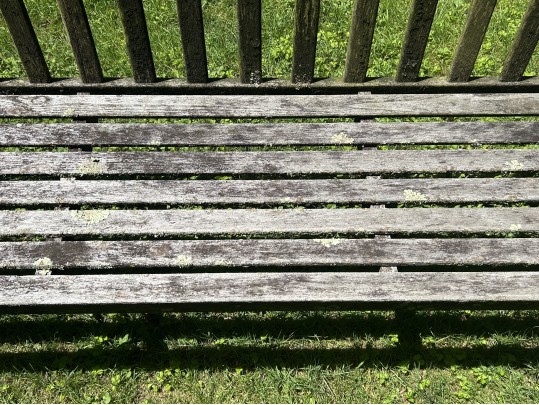 Gardeners Eden Teak Outdoor Bench