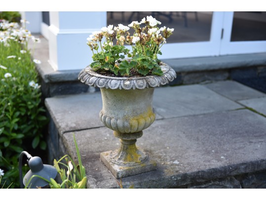 Cast Stone Garden Pedestal Urn Planter