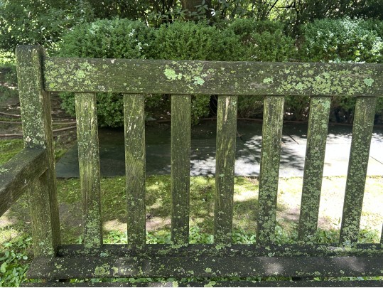 Gardeners Eden Teak Outdoor Bench