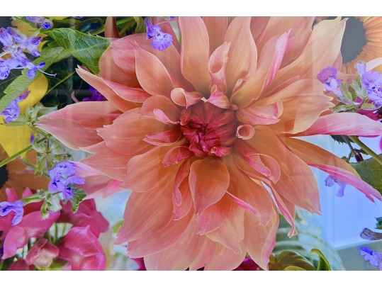 Multi Floral Petals Photograph On Acrylic Wall Art