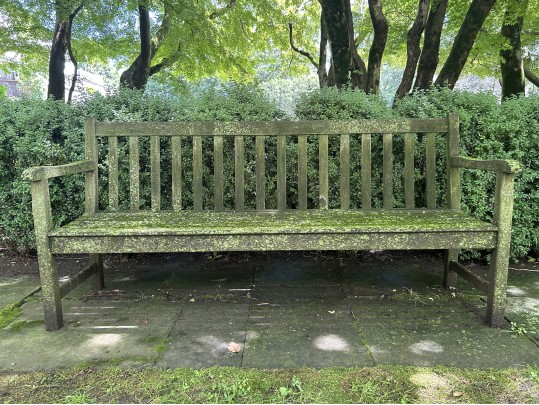 Gardeners Eden Teak Outdoor Bench