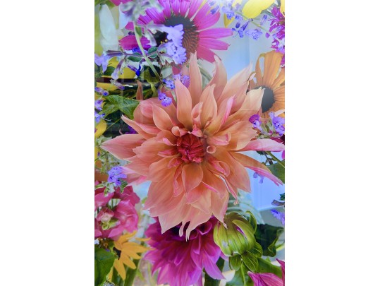 Multi Floral Petals Photograph On Acrylic Wall Art