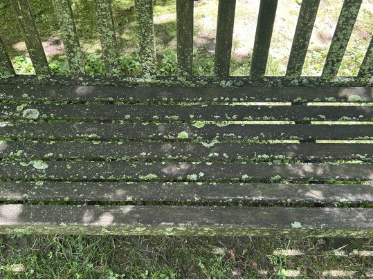 Gardeners Eden Teak Outdoor Bench