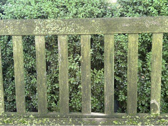 Gardeners Eden Teak Outdoor Bench