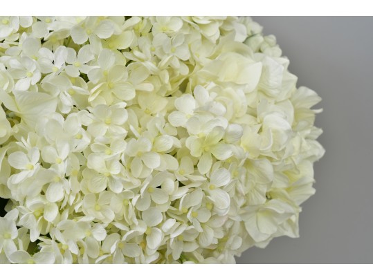 Diane James Designs Faux Hydrangea Floral Arrangement