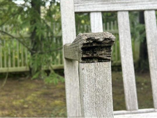Gardener's Eden Teak Garden Bench