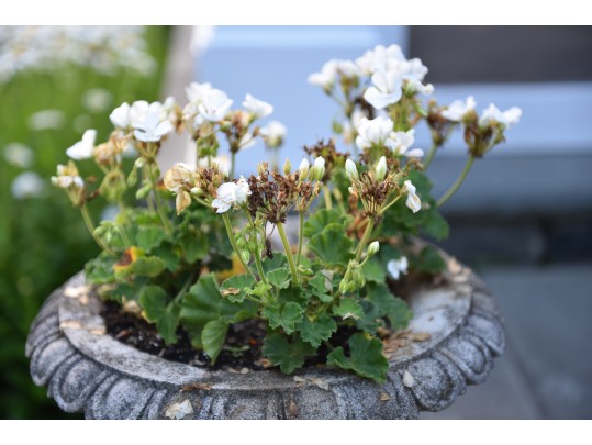 Cast Stone Garden Pedestal Urn Planter