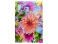 Multi Floral Petals Photograph On Acrylic Wall Art