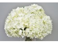 Diane James Designs Faux Hydrangea Floral Arrangement