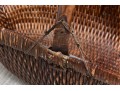 Oversized Woven Basket
