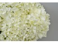 Diane James Designs Faux Hydrangea Floral Arrangement