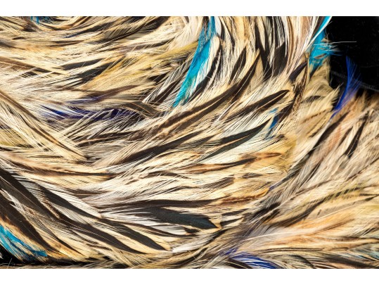 Jille Original Striking Vintage Brown Multi-toned Feather Hat